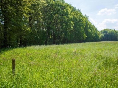 Holiday house Terrassenwohnung in Kattendijke - Environment photo 33