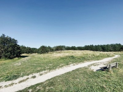 Holiday house Ferienhaus in Callantsoog mit Garten - Environment photo 26