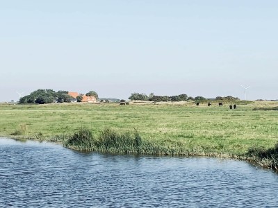 Holiday house Ferienhaus in Callantsoog mit Garten - Environment photo 30
