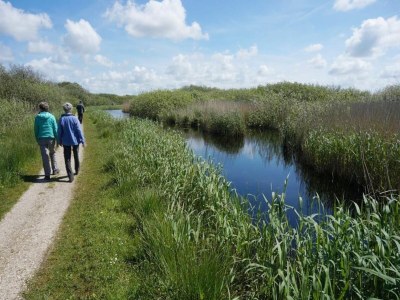 Holiday house Ferienhaus in Callantsoog mit Garten - Environment photo 34