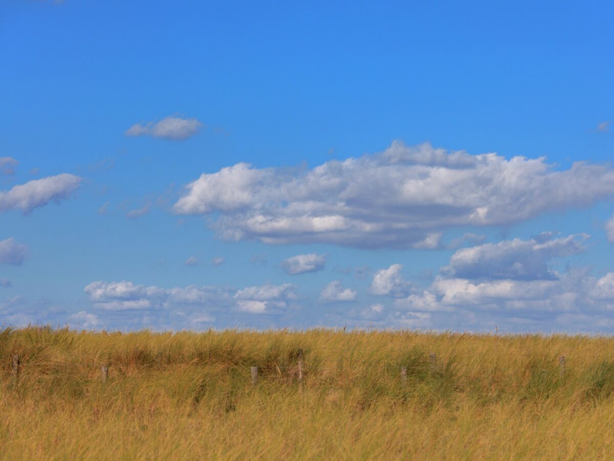 Apartment Wohnung in Katwijk am Strand - Outdoor photo 4