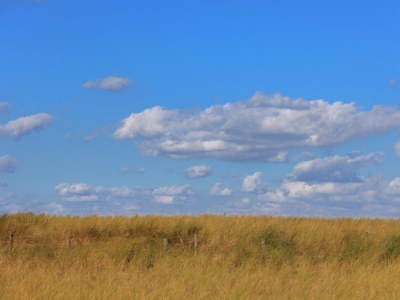 Apartment Wohnung in Katwijk am Strand - Outdoor photo 4