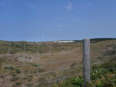 Holiday house Dune Top Family Retreat - Environment photo 25