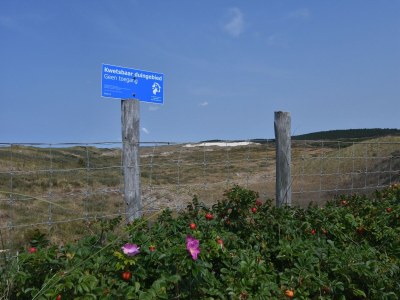 Holiday house Dune Top Family Retreat - Environment photo 38