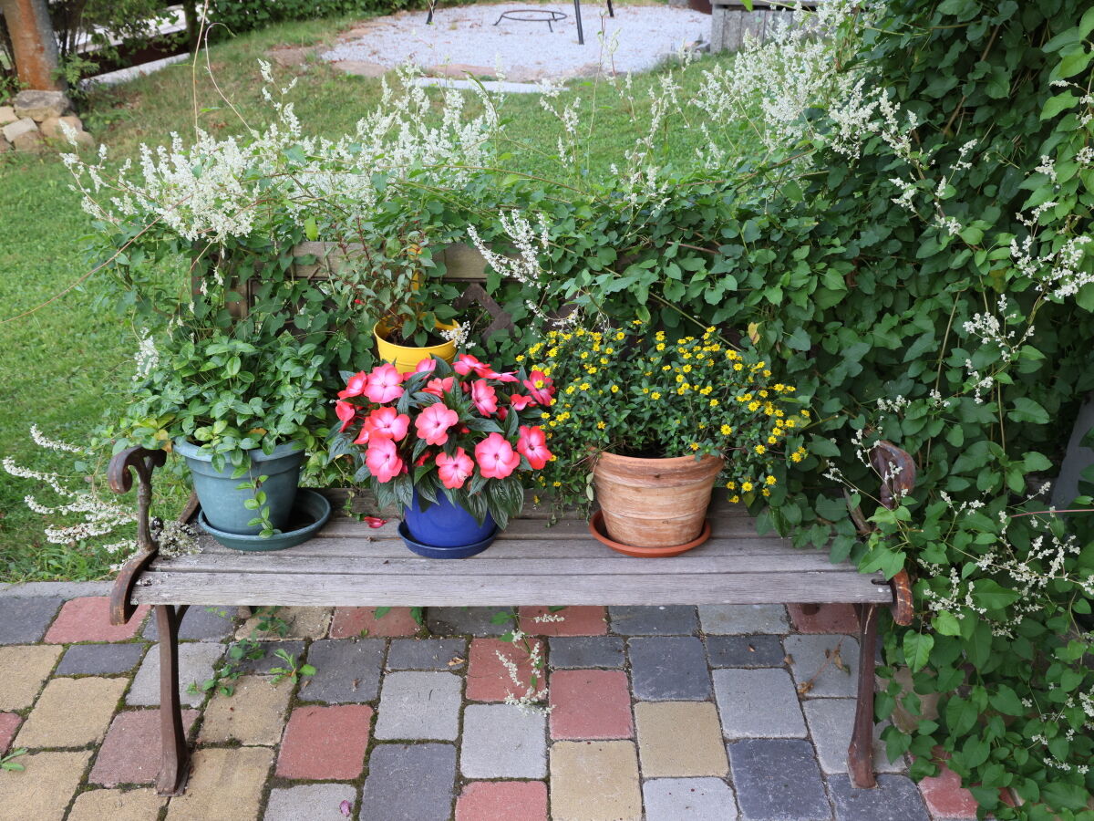 Holiday apartment in the House Bärnbachl - Outdoor photo 5