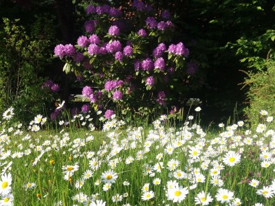 Holiday apartment in the House Bärnbachl - Outdoor photo 8