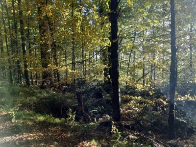 Holiday apartment in the House Bärnbachl - Outdoor photo 9