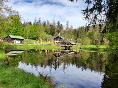 Holiday apartment in the House Bärnbachl - Environment photo 23