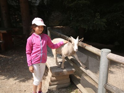 Holiday apartment in the House Bärnbachl - Environment photo 24