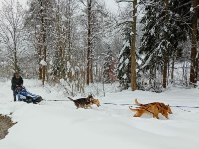 Holiday apartment in the House Bärnbachl - Environment photo 31