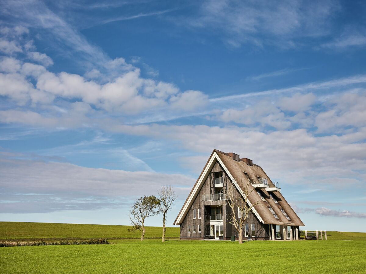 Villa Space to Connect: A Coastal Villa