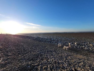 Villa Space to Connect: A Coastal Villa - Environment photo 30