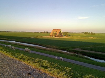 Villa Space to Connect: A Coastal Villa - Environment photo 32