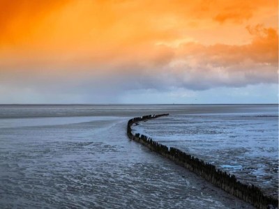 Villa Space to Connect: A Coastal Villa - Environment photo 34