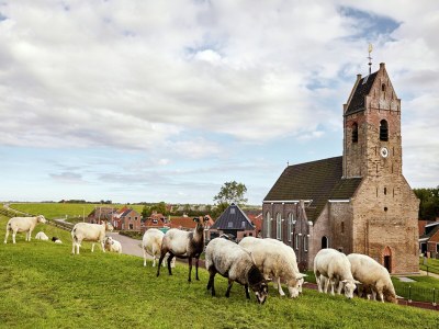 Villa Space to Connect: A Coastal Villa - Environment photo 35