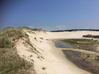 Apartment Apartment in Bergen near Sandy Beaches - Environment photo 28