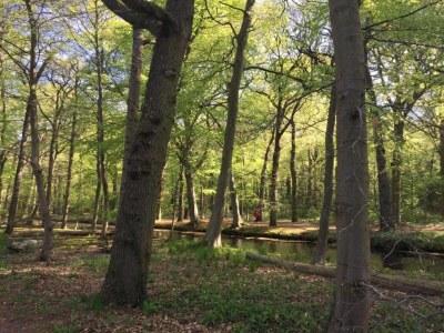 Apartment Apartment in Bergen near Sandy Beaches - Environment photo 29