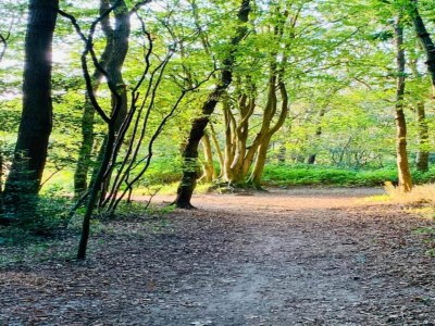 Apartment Apartment in Bergen near Sandy Beaches - Environment photo 33