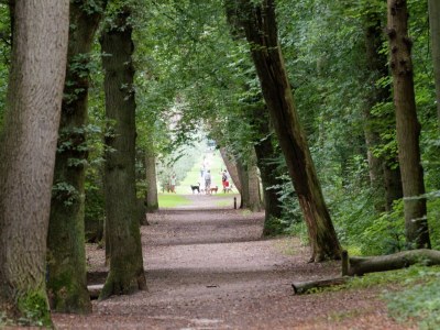 Apartment Apartment in Bergen near Sandy Beaches - Environment photo 35