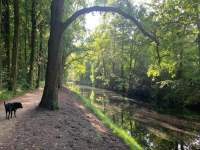 Apartment Apartment in Bergen near Sandy Beaches - Environment photo 36