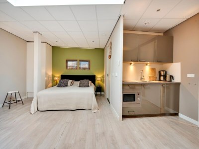 Apartment Wohnung in Bergen nahe Schoorl Dünen - Features photo 19