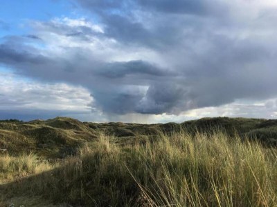 Apartment Wohnung in Bergen nahe Schoorl Dünen - Environment photo 25