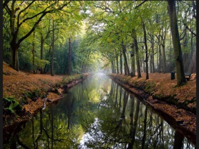 Apartment Wohnung in Bergen nahe Schoorl Dünen - Environment photo 28