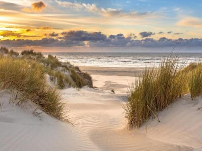 Apartment Wohnung in Bergen nahe Schoorl Dünen - Environment photo 30