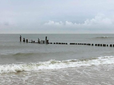 Apartment Wohnung in Bergen nahe Schoorl Dünen - Environment photo 32