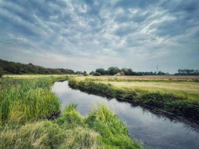 Apartment Wohnung in Bergen nahe Schoorl Dünen - Environment photo 33
