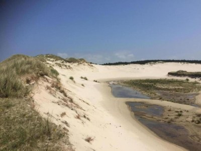 Apartment Wohnung in Bergen nahe Schoorl Dünen - Environment photo 34