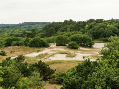 Apartment Wohnung in Bergen nahe Schoorl Dünen - Environment photo 38