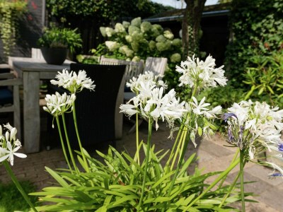 Apartment Couples’ Retreat in Bergen - Outdoor photo 4