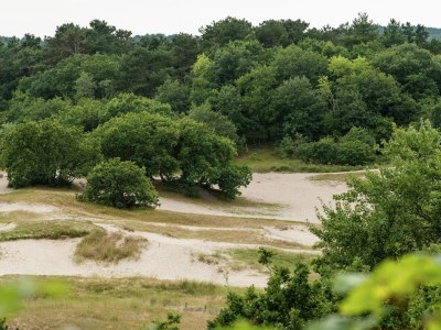 Apartment Couples’ Retreat in Bergen - Environment photo 30