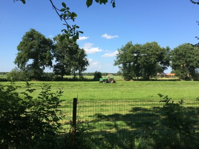 Holiday house Family residence with large garden - Outdoor photo 9