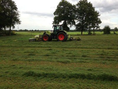 Holiday house Family residence with large garden - Outdoor photo 13