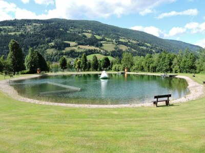 Chalet Chalet in Stadl near Kreischberg Ski Slopes - Environment photo 30