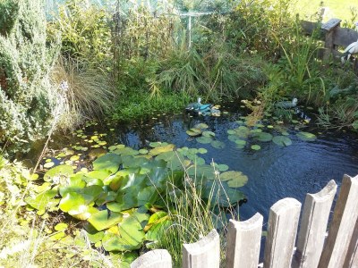 Chalet Chalet in Einach near Ski Slopes - Outdoor photo 8