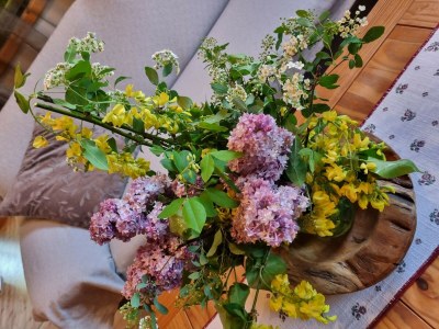 Chalet Chalet in Einach near Ski Slopes - Outdoor photo 39