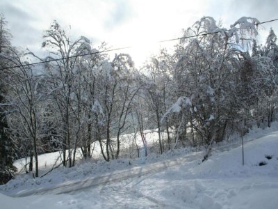 Holiday house Chalet in Turracherhöhe mit Ski-in/Ski-out - Environment photo 39