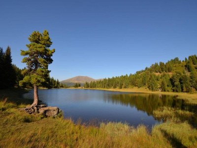 Holiday house Renovated Mountain Retreat Stay - Environment photo 33