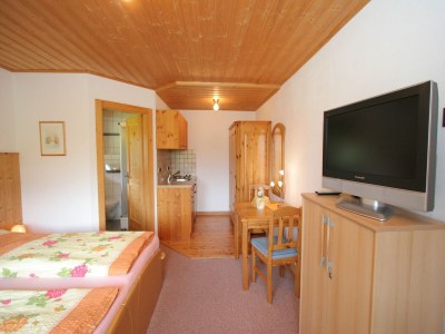 Apartment Sauna Apartment in Schladming - Features photo 10