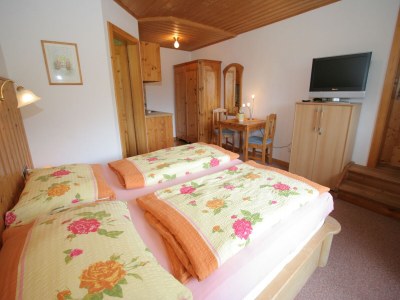 Apartment Sauna Apartment in Schladming - Features photo 13