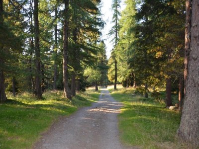 Apartment Sauna Apartment in Schladming - Environment photo 17