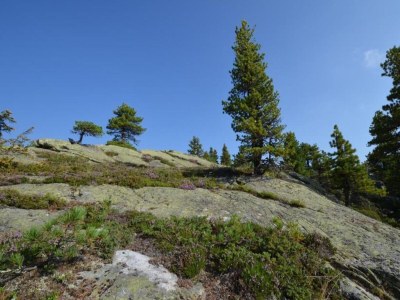 Apartment Sauna Apartment in Schladming - Environment photo 34