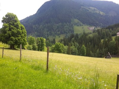 Apartment Schladming Spacious Base with Sauna - Environment photo 17