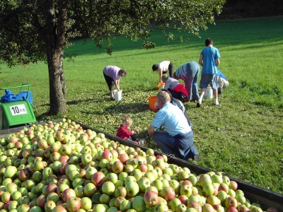 Apartment Apartment in Neuhaus near Petzen Ski Area - Environment photo 20