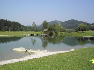 Apartment Apartment in Neuhaus near Petzen Ski Area - Environment photo 21