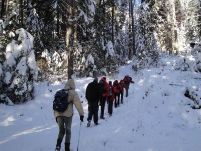 Apartment Apartment in Neuhaus near Petzen Ski Area - Environment photo 22