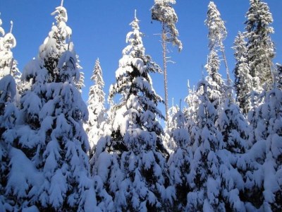 Apartment Apartment in Neuhaus near Petzen Ski Area - Environment photo 23